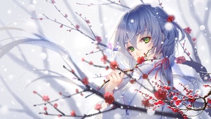 红梅雪落