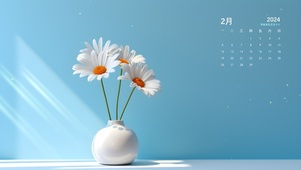 4K简约小雏菊插花