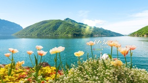 青山湖泊