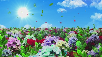 唯美的花海