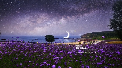 4K 唯美夜晚星空花海