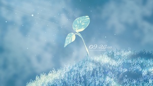 冰雪草