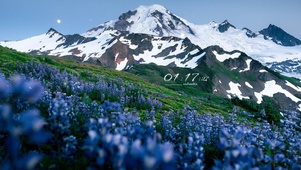 雪山下的花海