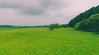 4k大草原