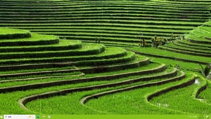 雨中田地主题桌面