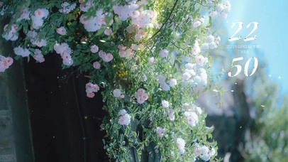 治愈清新绿叶鲜花