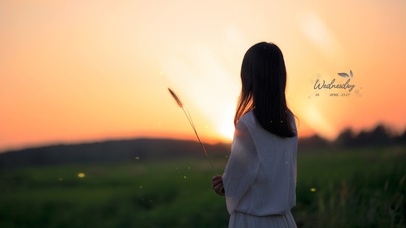 4k 夕阳田园下的少女