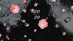 花瓣  主题