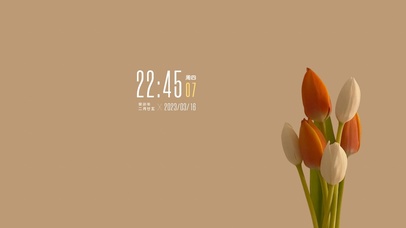 4k清新郁金香系列