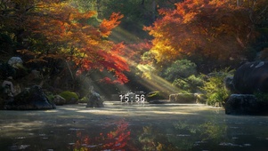 唯美枫叶溪流