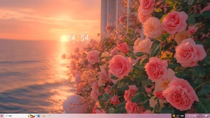 夕阳花海