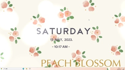 桃花   电脑主题