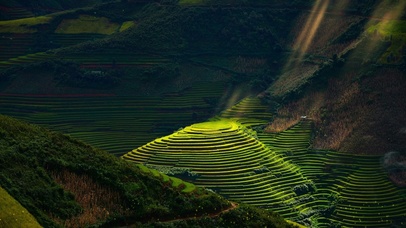 治愈安宁的风景