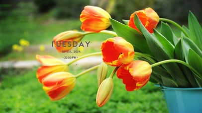 清新治愈花草风景