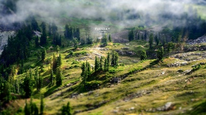 4K-治愈绿色微观世界