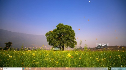 花海主题壁纸