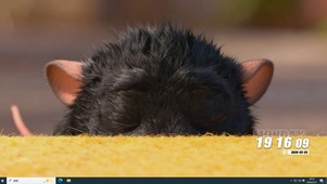 可爱小萌宠桌面主题