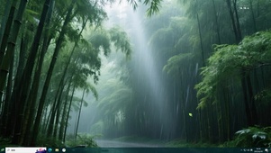 竹林雨季