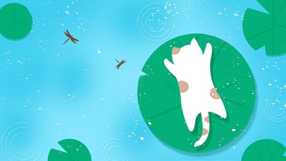 夏日清凉荷叶上的猫咪