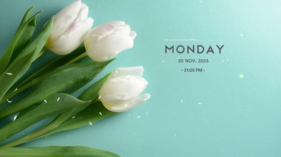 4k清新郁金香桌面