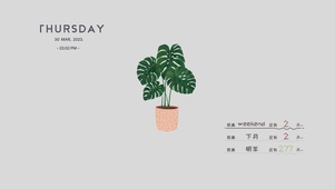4k简约ins绿植系列