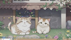 猫咪午后乘凉