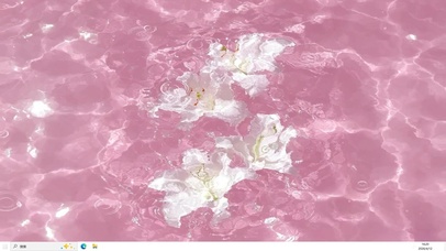 水中百合  主题