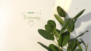小清新简约绿植ins风格壁纸