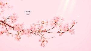 唯美治愈樱花