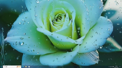 雨天花花-桌面主题