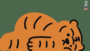 小脑斧