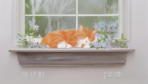 窗台午睡的小猫咪