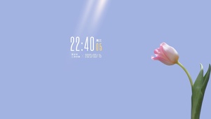 4k唯美清新郁金香系列