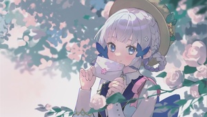 花时1.1压画质