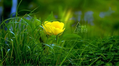 4k高清唯美小清新系列