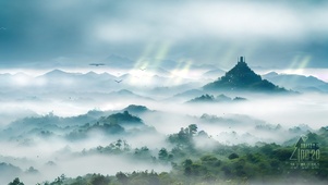 山中森林雾气