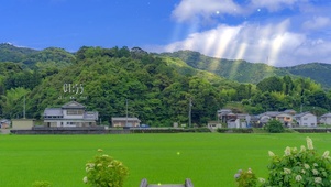 唯美治愈清晨乡村