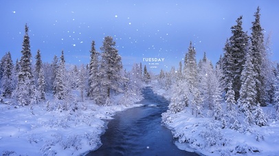 治愈冬季森林溪流