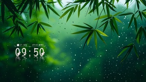 窗外的竹林