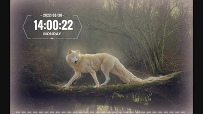 森林精灵——狼