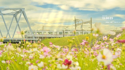 4k 唯美治愈草地花海