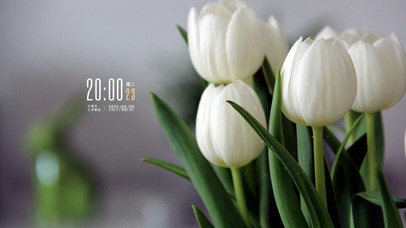 4k高清治愈小清新系列