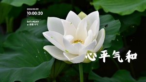4k治愈风景桌面