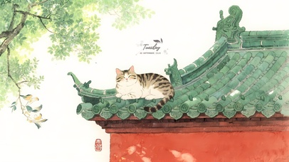 房顶的猫