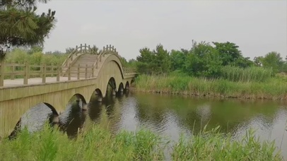 湿地-小桥流水