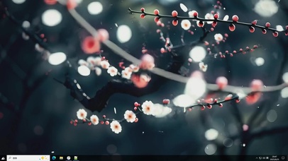寒枝梅绽-桌面主题