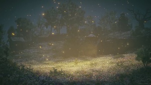 夏夜雨落星辰虫鸣