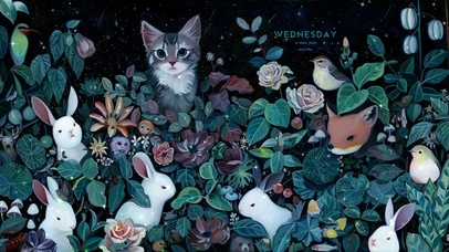 4K_花与动物超治愈（带鱼屏）