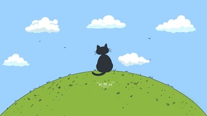 自由的猫咪
