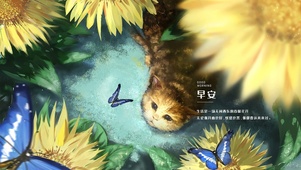 望蝶
